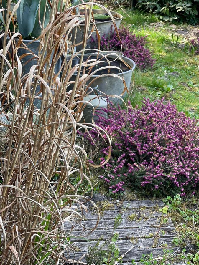 Ostal 158 Bed and Breakfast Le Barp Εξωτερικό φωτογραφία